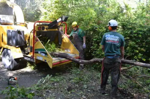 tree services Ford City